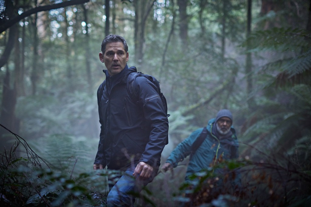 Eric Bana as character Aaron Falk stands in a dense rainforest.