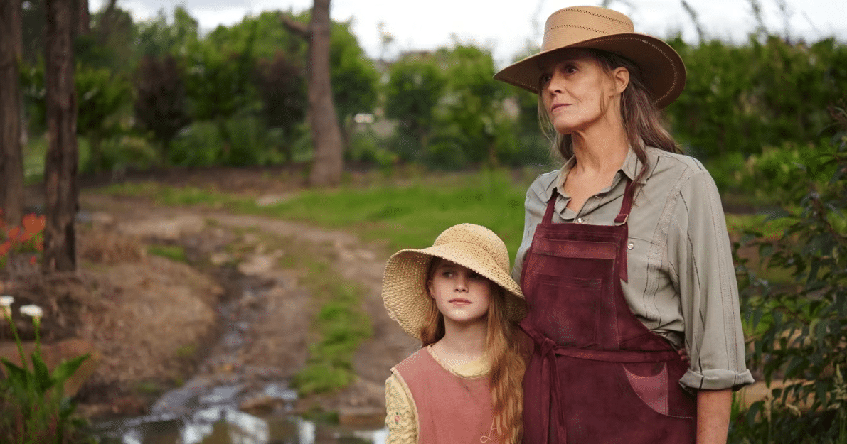 Ten top Australian shows streaming right now ScreenHub Australia