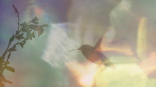 Every Little Thing still. Image: Umbrella Entertainment. What's on