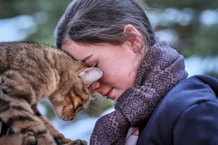 A Cat's Life. Image: MC4, Orange Studio/CHIFF