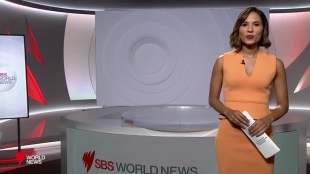 Image: SBS.