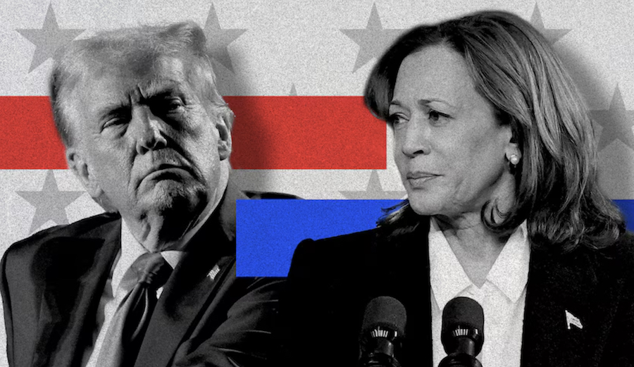 Trump Vs Harris. Abc Iview. 