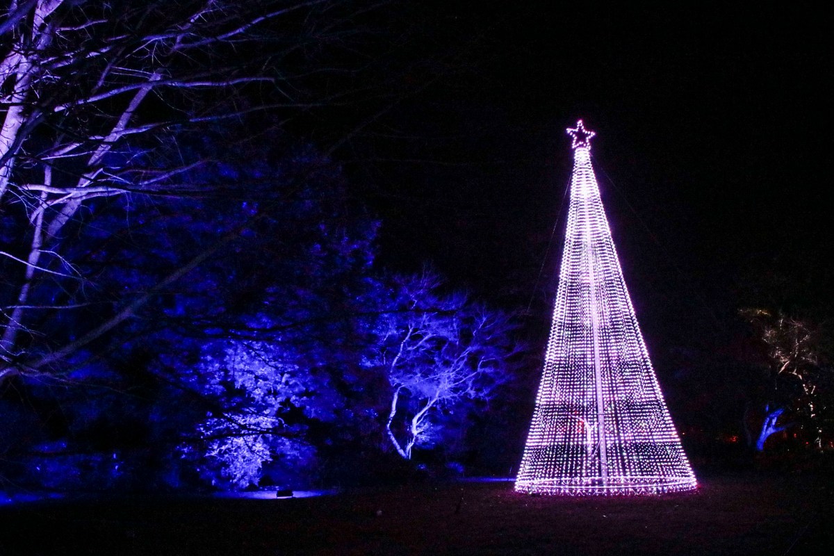 12 Days Of Britmas. Image: Britbox.