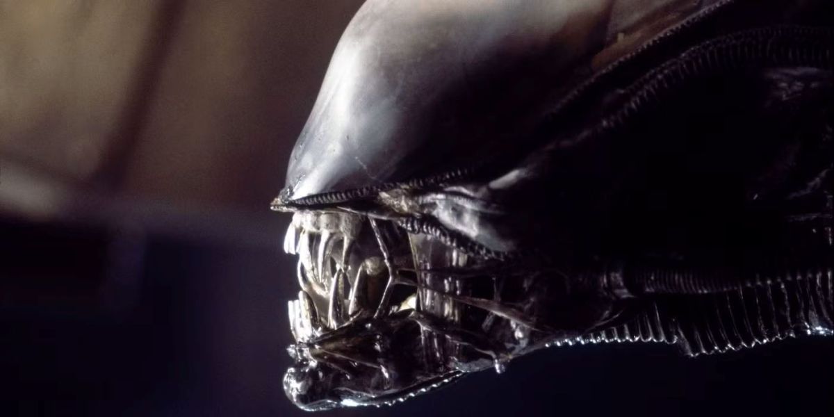 Alien. Image: 20Th Century Studios/Stan