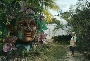 The Blue Trail. Image: Sydney Film Festival.