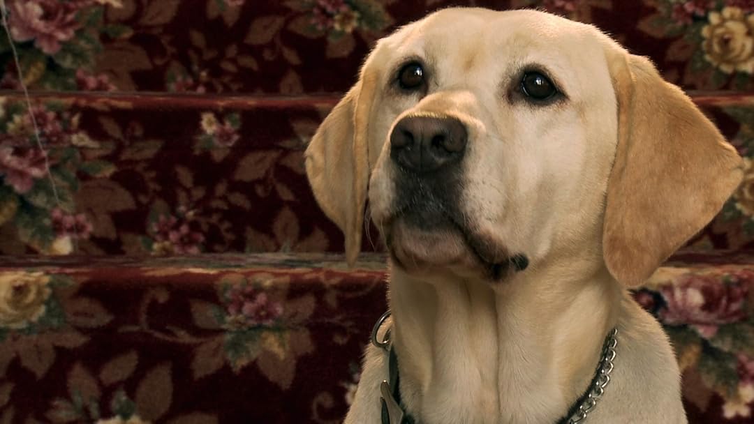 The Dog Who Saved Easter. Image: Hybrid Films. Easter Family Films.