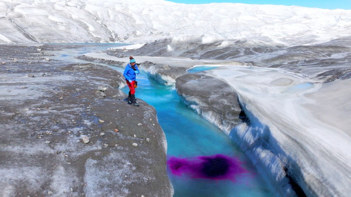 The Arctic 66.5 Degrees North. Image: Britbox.