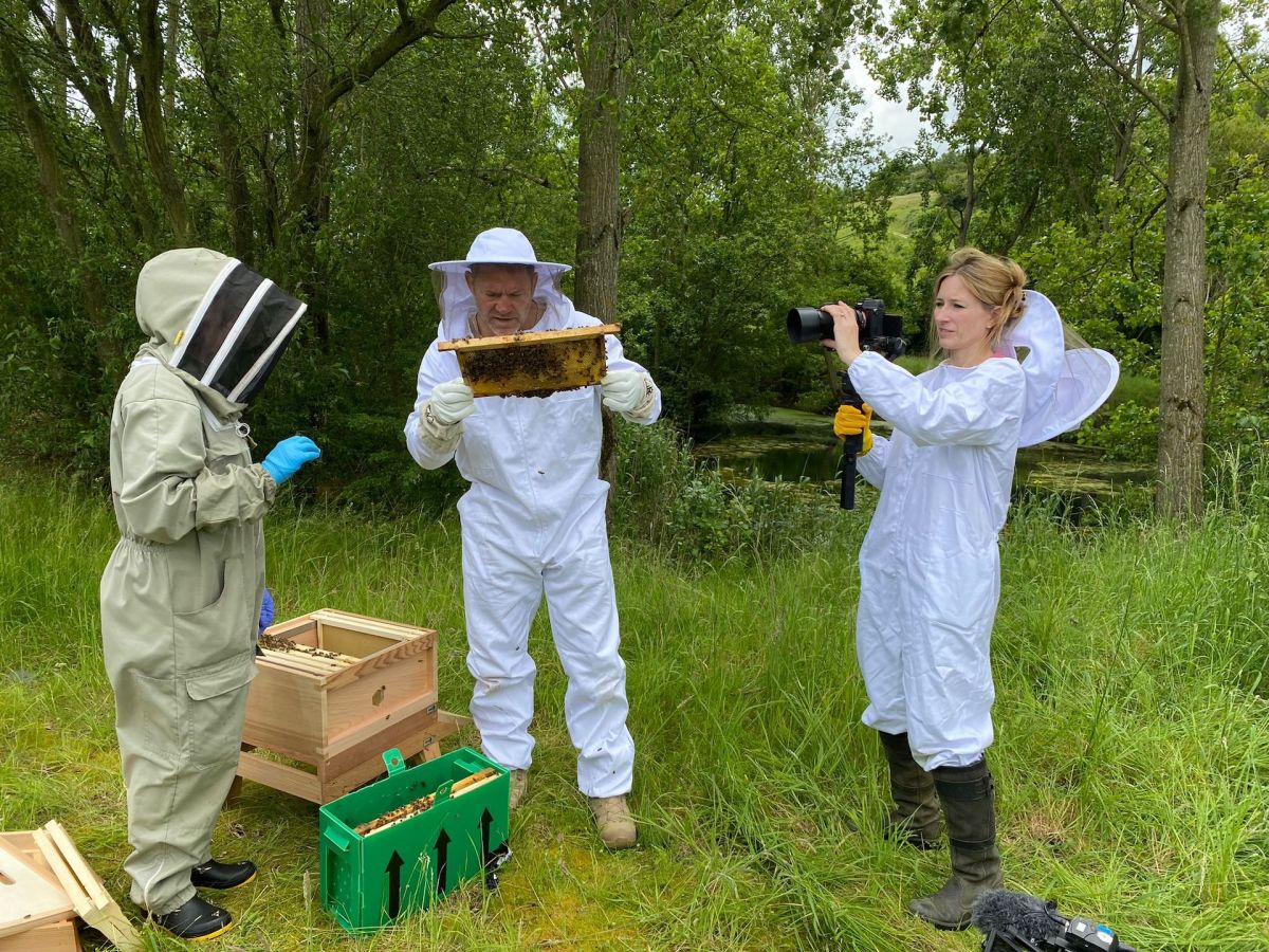 The Secret Life Of Bees. Image: Britbox.