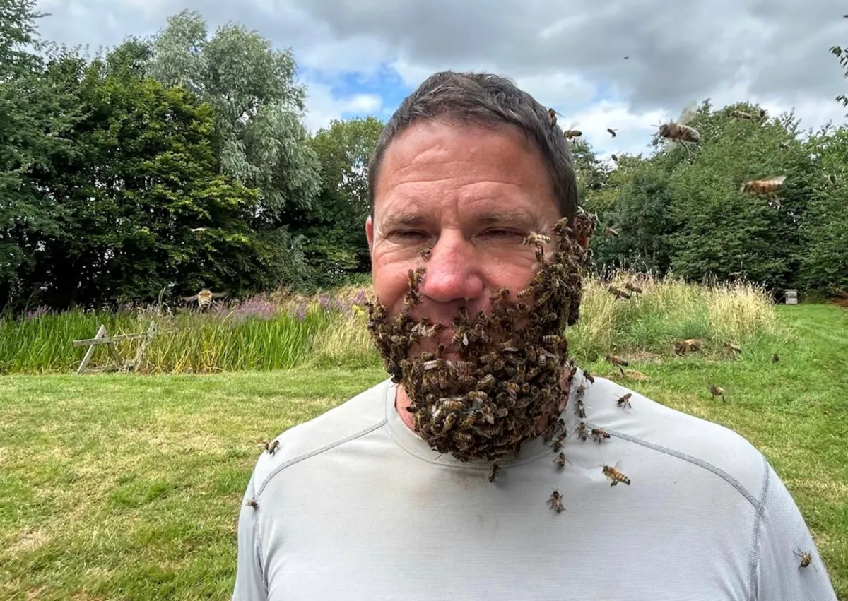 The Secret Life Of Bees. Image: Britbox.