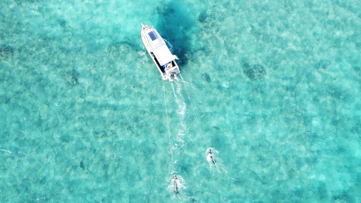 Saltwater Cowboys Of Shark Bay. Image Supplied By Climate Story Lab Australia.