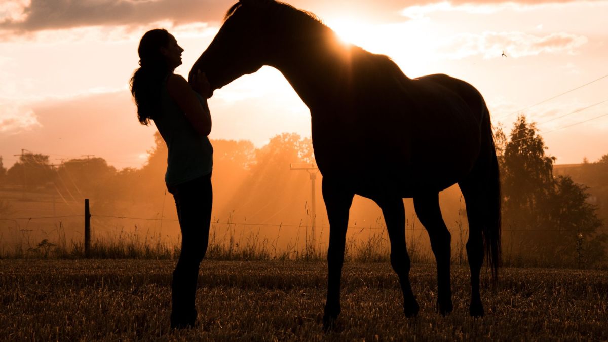 Girls and Their Horses will premiere on Prime Video. Image: Canva