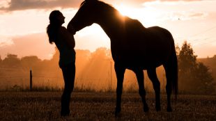 Girls and Their Horses will premiere on Prime Video. Image: Canva