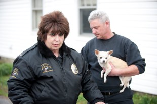 small town security amc+ streaming guide august 2025