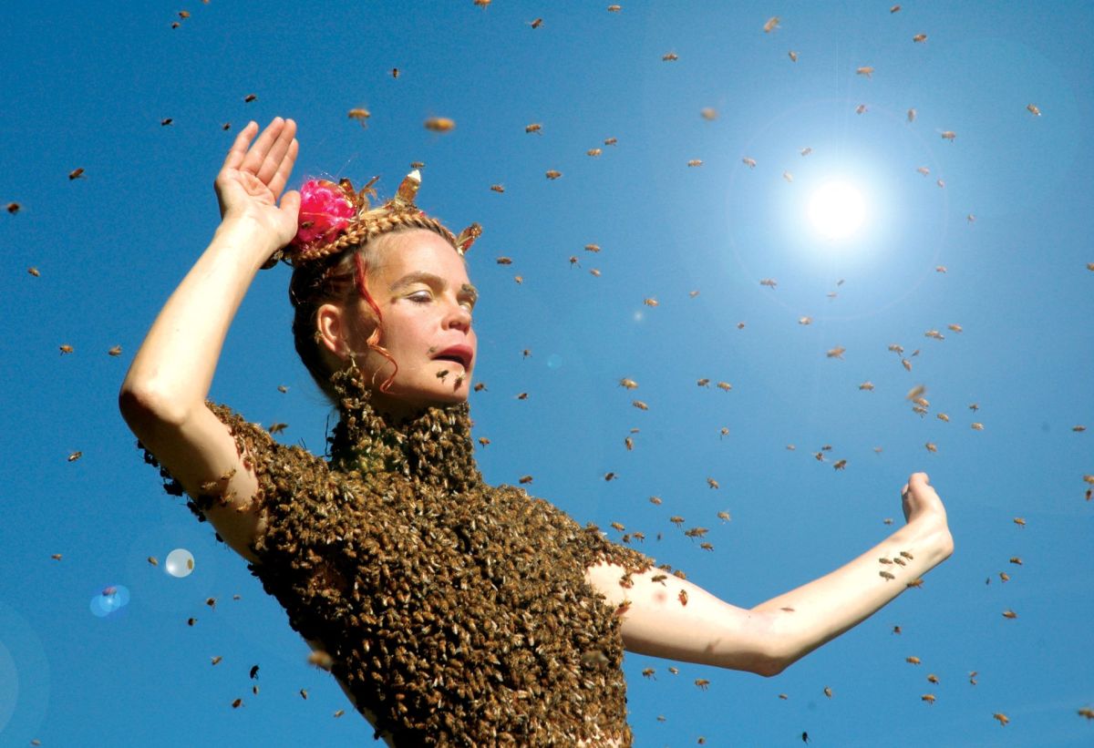 Queen Of The Sun. Image: Docplay/Umbrella Entertainment. 10 Great Films.