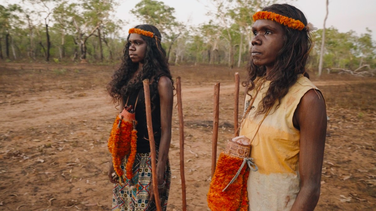 Journey Home, David Gulpilil. Image: Anna Cadden.