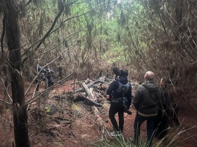 Revealed: Death Cap Murders. Image: Stan.