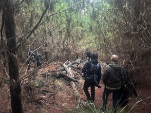Revealed: Death Cap Murders. Image: Stan.