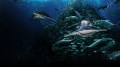 Battle for Shark Mountain. Image: HBO. Streaming on Binge.