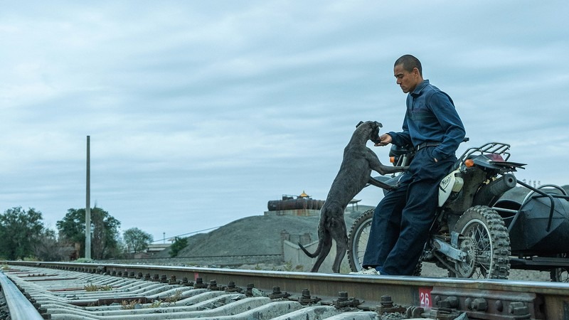 Black Dog. Image: Hi Gloss Entertainment. Great Films Streaming.
