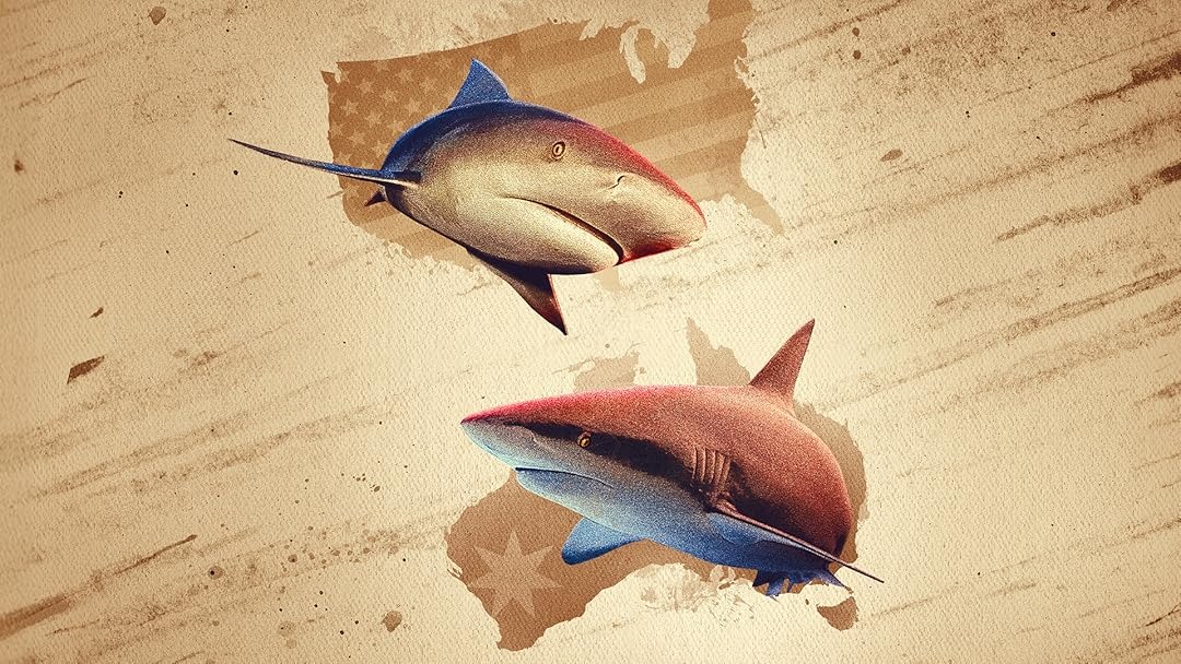 Hbo Max Bull Shark Showdown Streaming August 2025