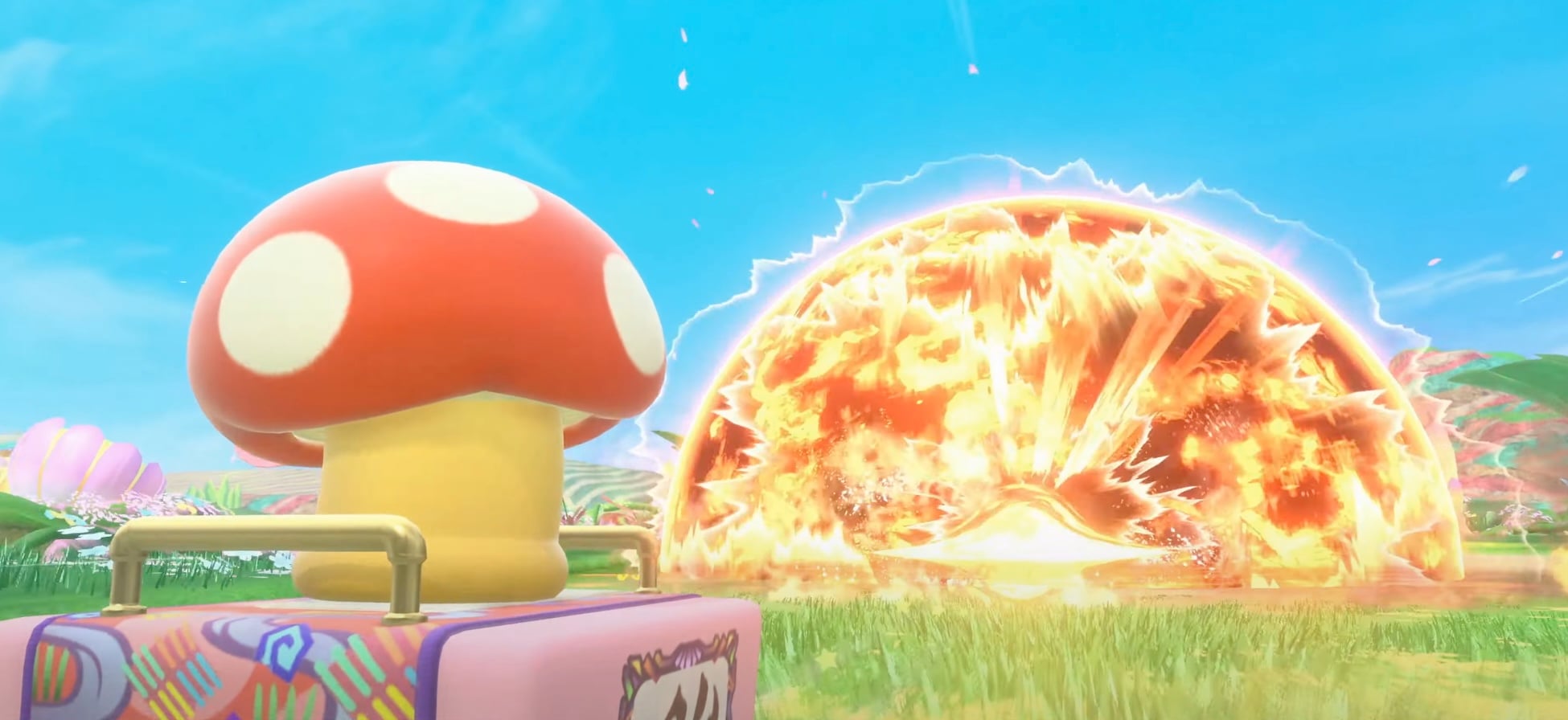 Kirby Air Riders Characters Riders