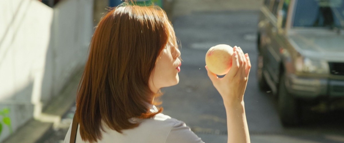 Parasite (2019), directed by Bong Joon-ho. Image: Madman Entertainment.