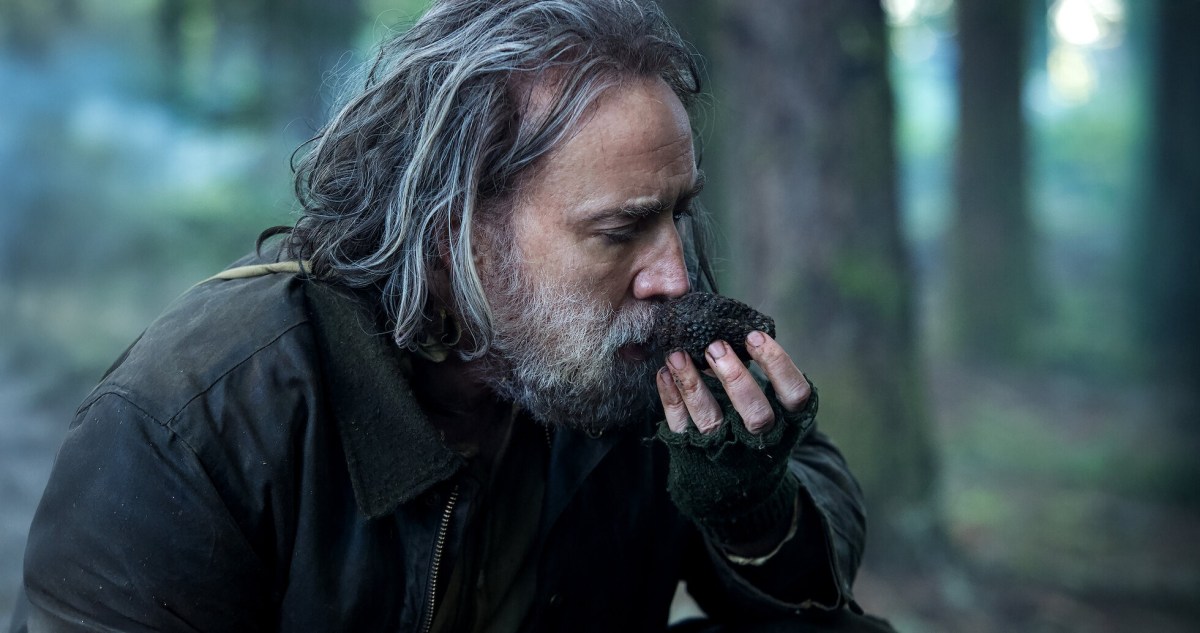 pig nicolas cage streaming stan