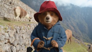 paddington in peru