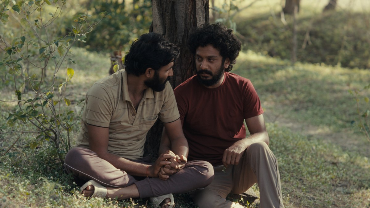 Cactus Pears. Melbourne Queer Film Festival Highlights. Best International Film 2025