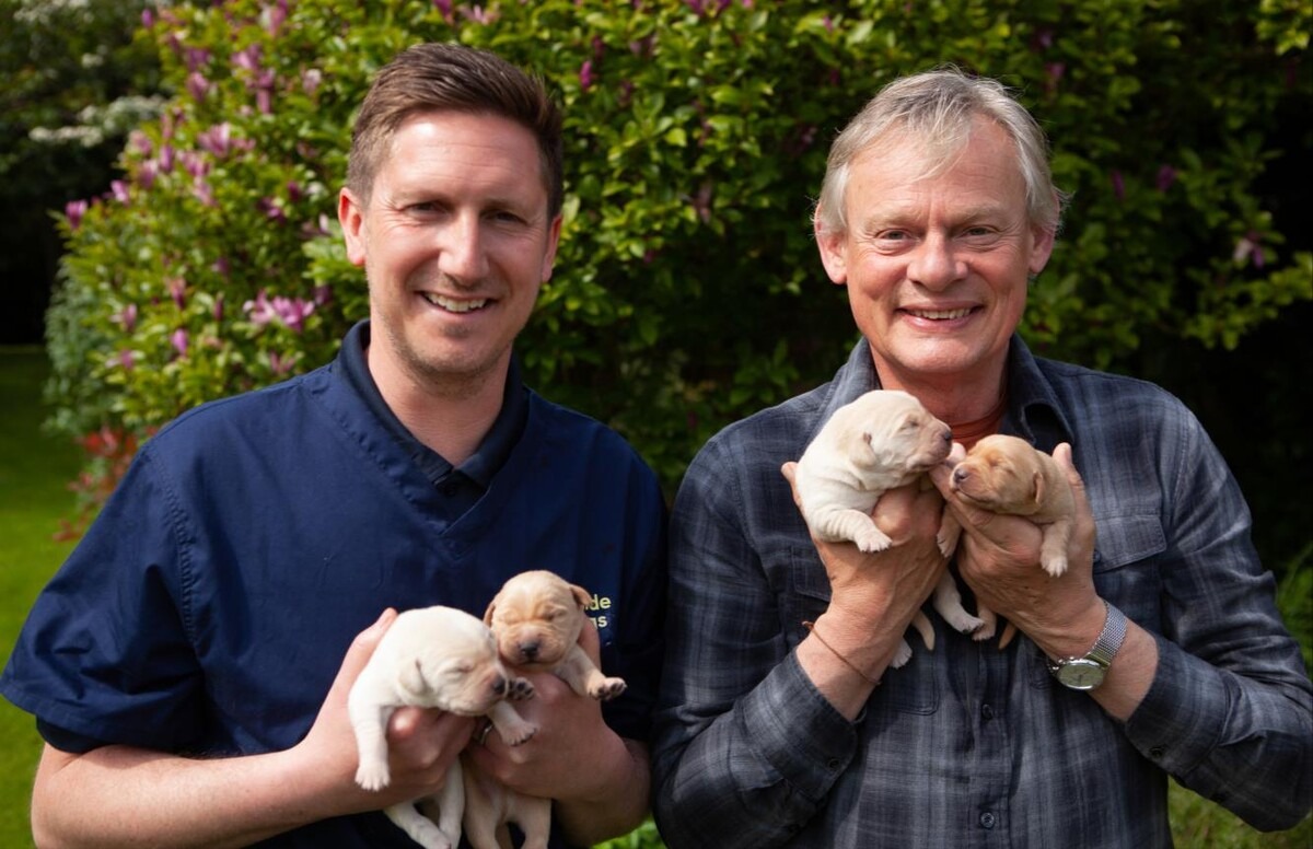 The Secret World Of Guide Dogs With Martin Clunes. Image: Britbox. Best New Films.