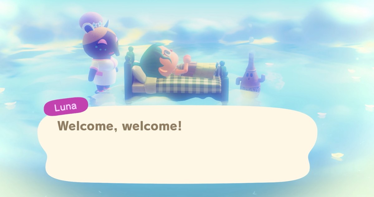 Animal Crossing New Horizons Dream World