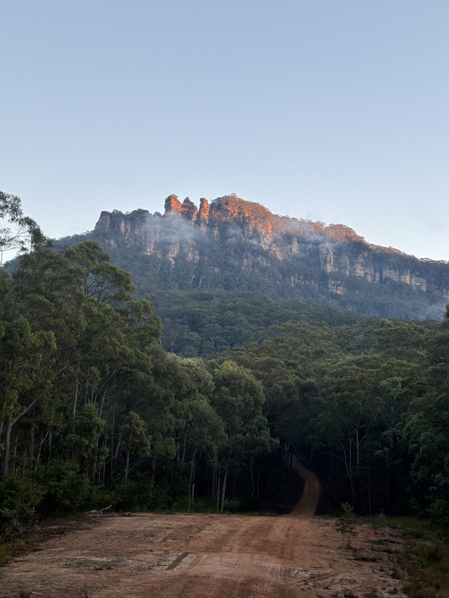 William Corlett, King Of The Mountains. Image Supplied.