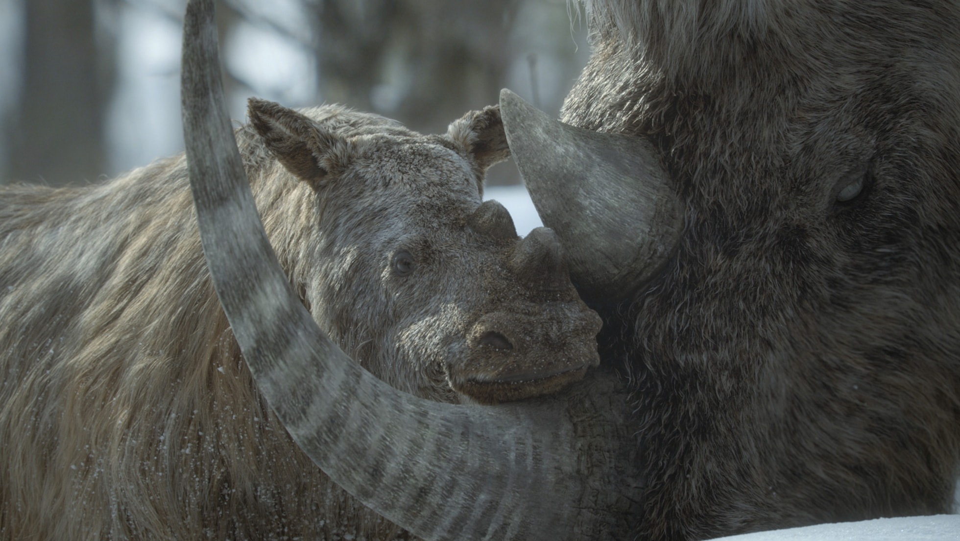 Prehistoric Planet: Ice Age. Image: Apple Tv. Best New Shows Streaming November 2025