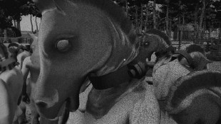horses santa ragione copies sold