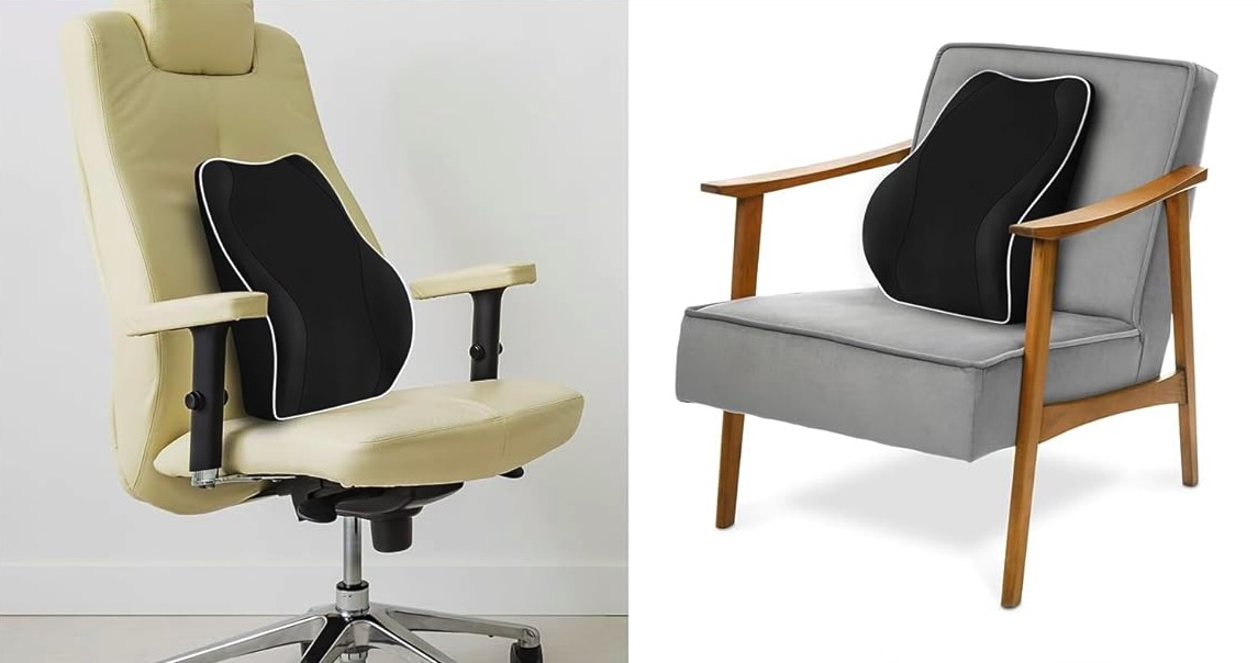 Travel Ease Lumbar Support Cushion