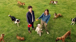 Dog Park. Image: ABC.