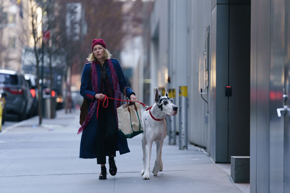 Naomi Watts In The Friend. Image: Binge.