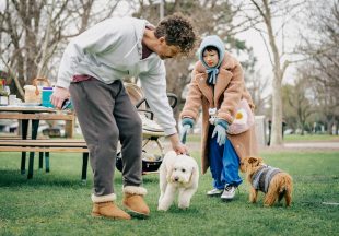 Dog Park | Image: ABC iview