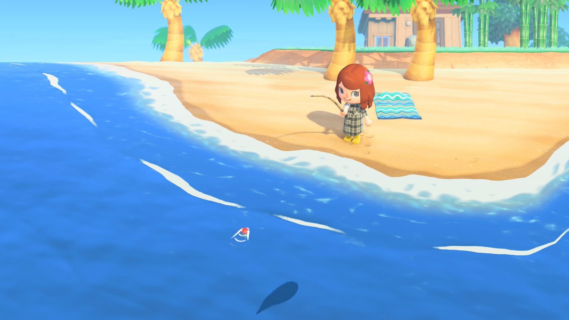 Animal Crossing New Horizons Fishing