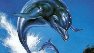 ecco the dolphin games