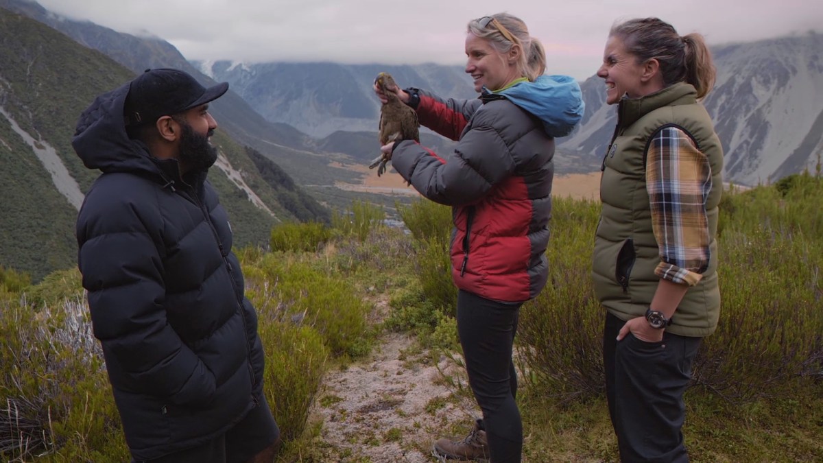 Most Endangered Species New Zealand. Image: Sbs On Demand.