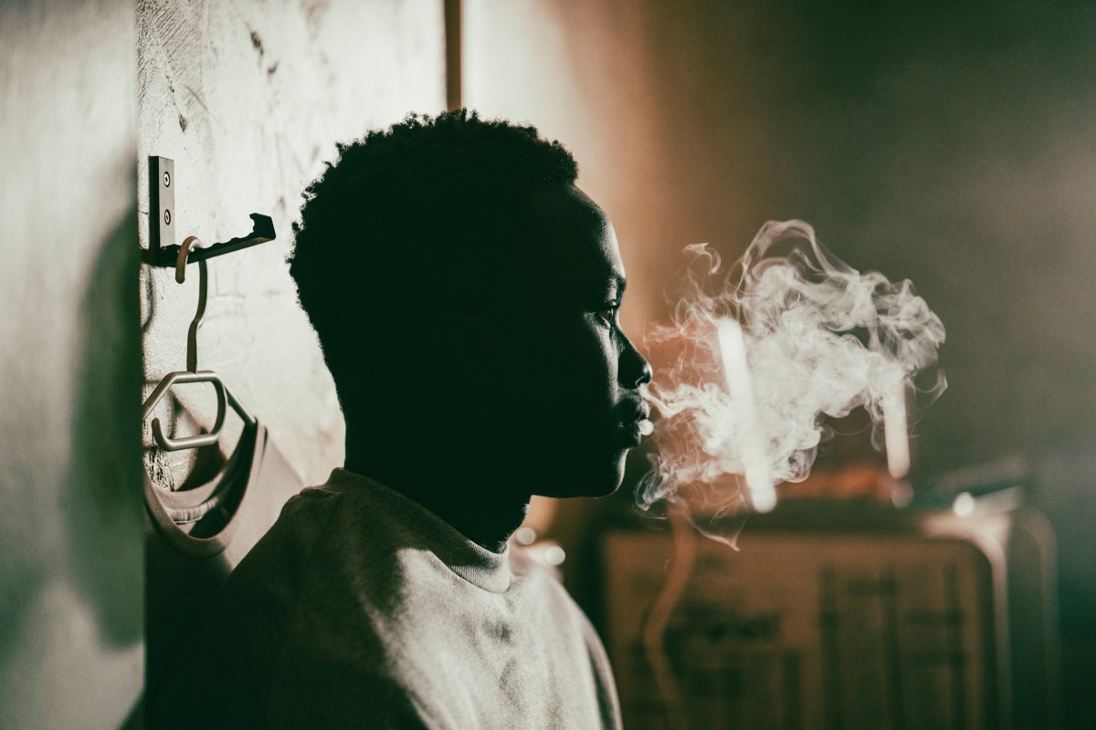 Animol. Image: Supplied. Best Of Berlinale.
