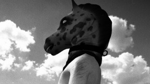 horses santa ragione game