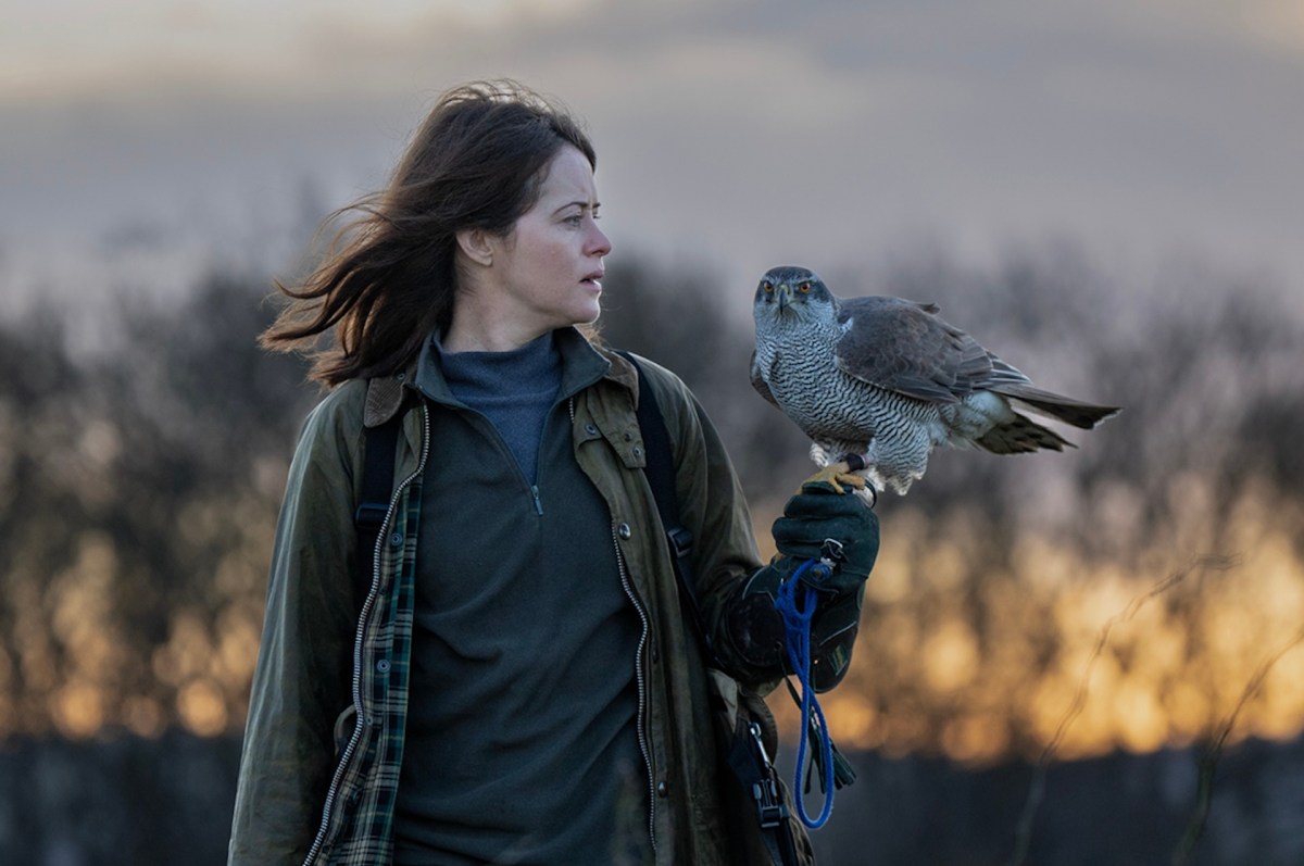 H is For Hawk. Image: Lionsgate.