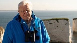 Wild Isles With David Attenborough. Image: BBC. Streaming on ABC iview.