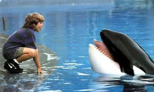 Free Willy. Image: Warner Bros. Streaming on HBO Max.