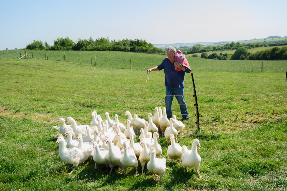 Clarkson's Farm Season 5. Image: Prime Video.