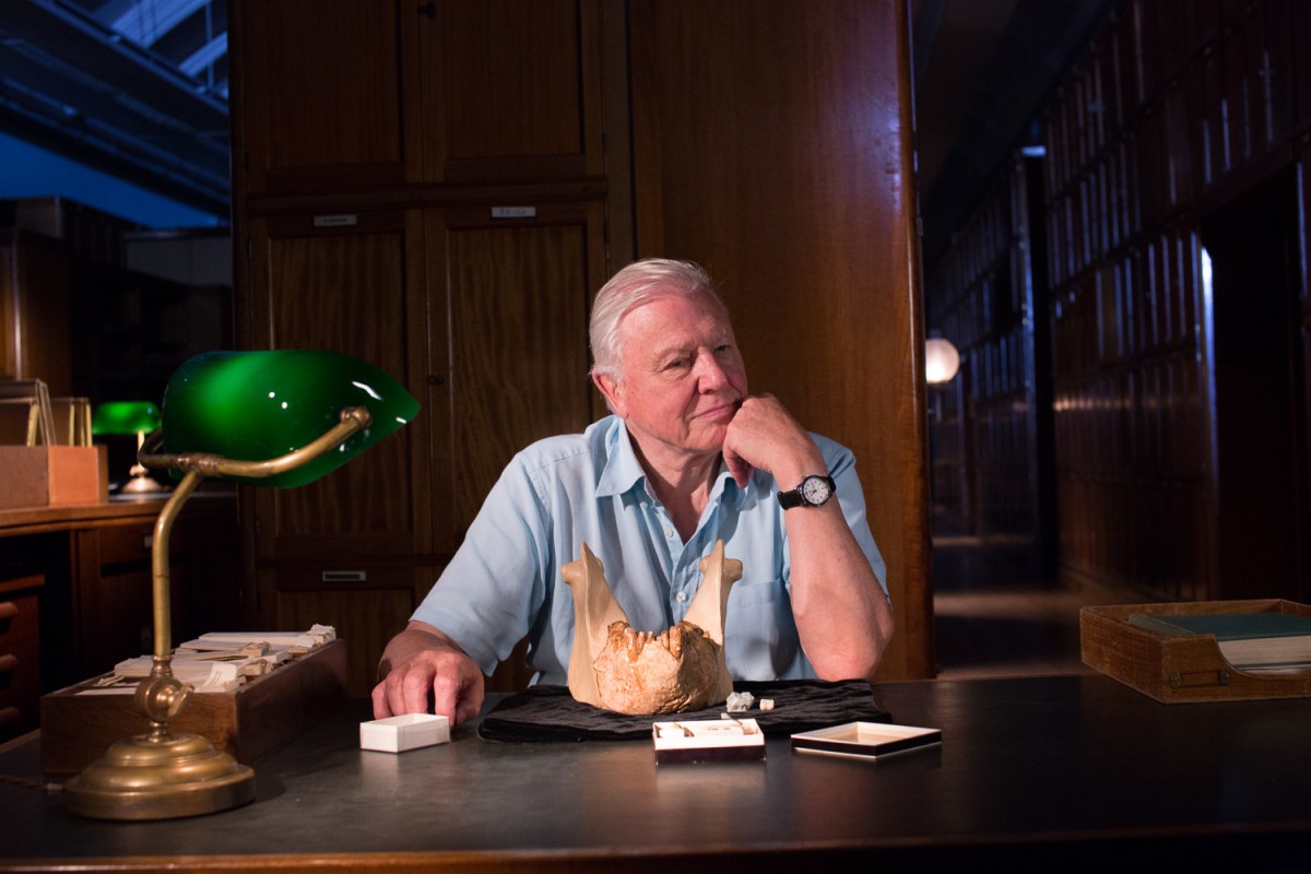 Sir David Attenborough. Photo: supplied.