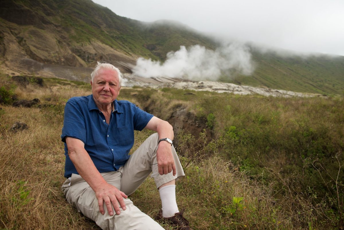 Galapagos 3D with David Attenborough filmed on location in the Galapagos islands. Photo: supplied.