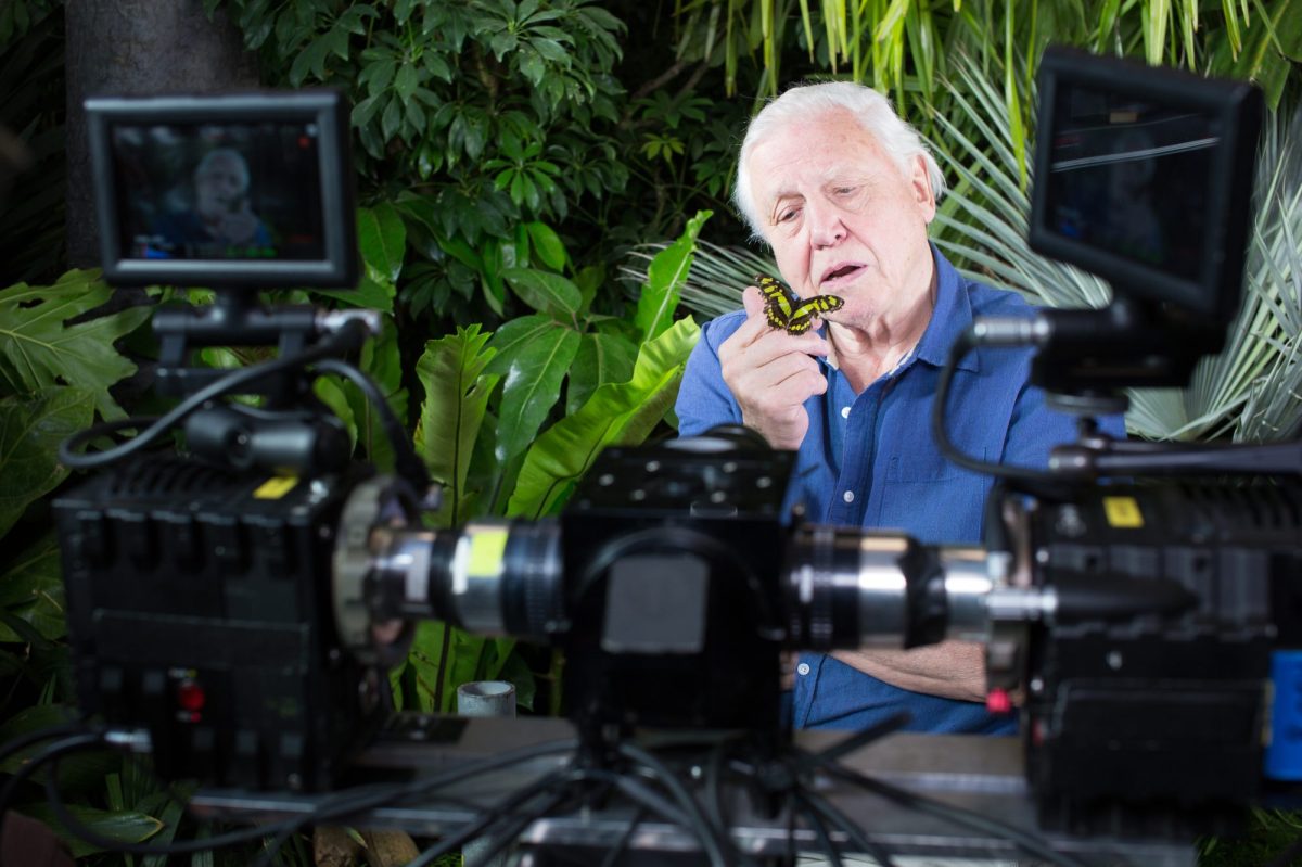 Sir David Attenborough. Photo: supplied.